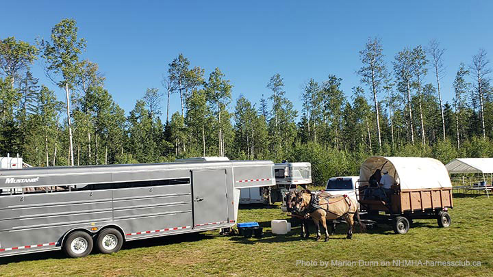 Wagons, Horses and Riders