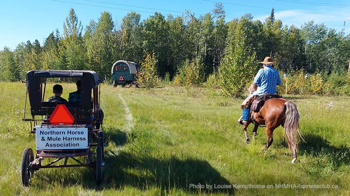 Wagons, Horses and Riders