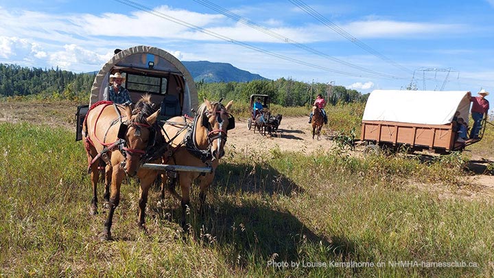 Wagons, Horses and Riders