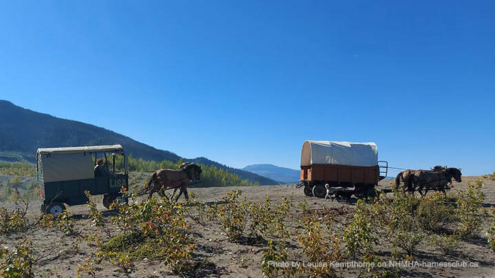 Wagons, Horses and Riders