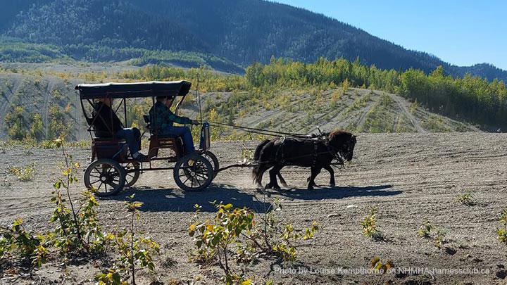 Wagons, Horses and Riders