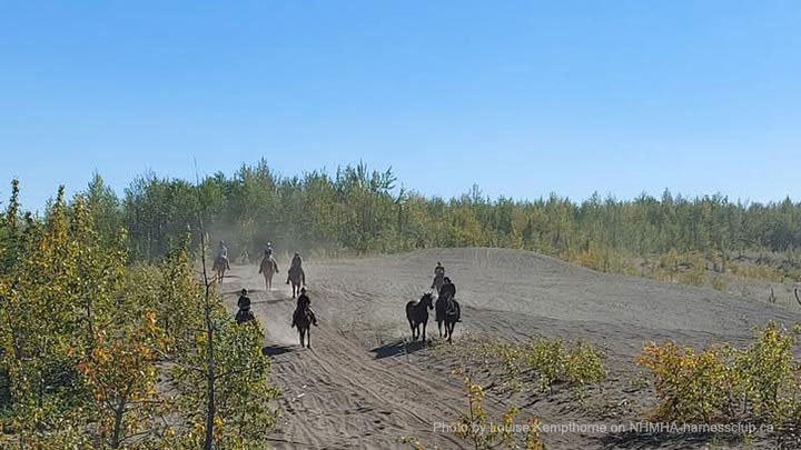 Wagons, Horses and Riders