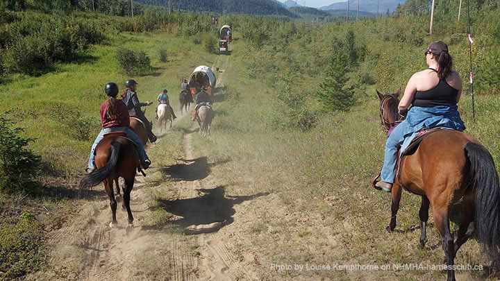 Wagons, Horses and Riders