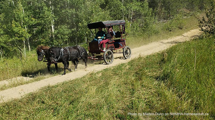 Wagons, Horses and Riders