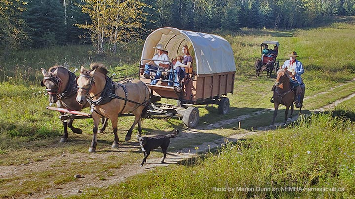 Wagons, Horses and Riders