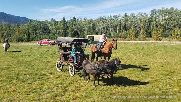 Wagons, Horses and Riders