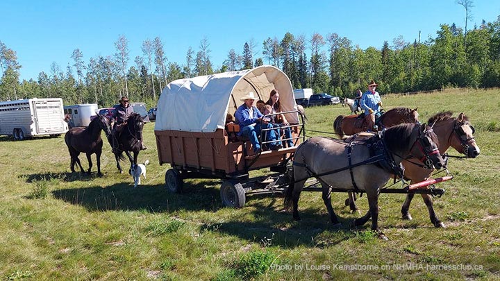 Wagons, Horses and Riders