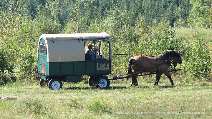 Wagons, Horses and Riders