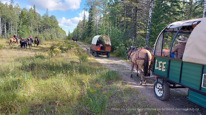 Wagons, Horses and Riders