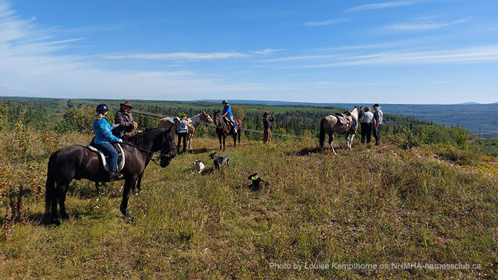 Wagons, Horses and Riders