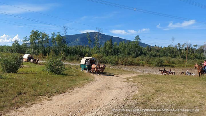 Wagons, Horses and Riders
