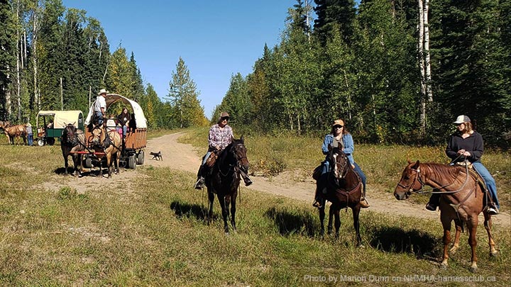 Wagons, Horses and Riders