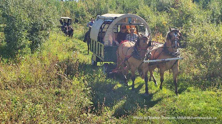 Wagons, Horses and Riders