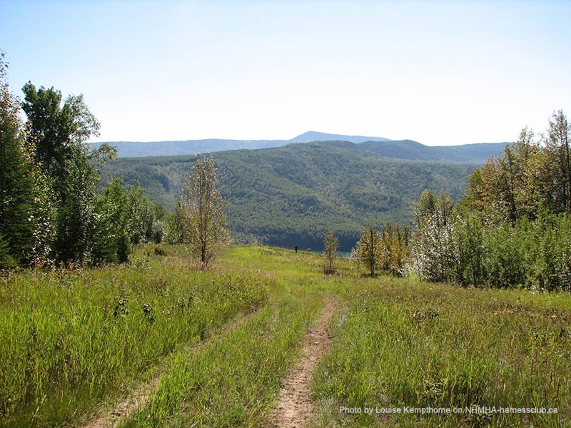 Beautifu Mountain Scene with Wagon Tracks