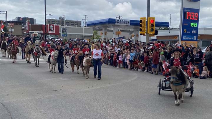 Wagons, Horses and Riders